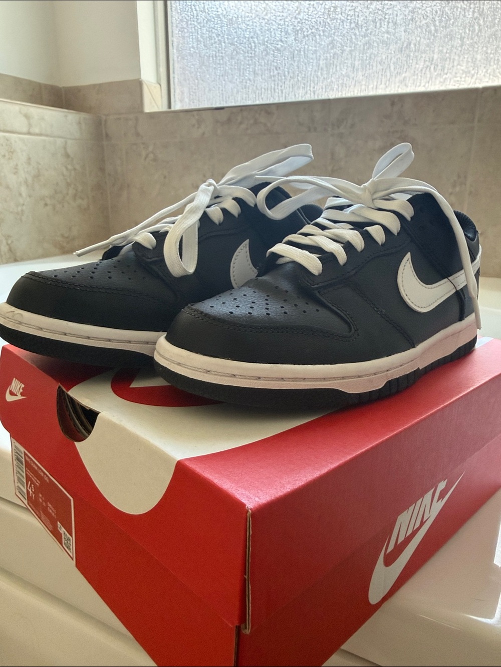 Nike Dunk Low (GS) Youth Black and White